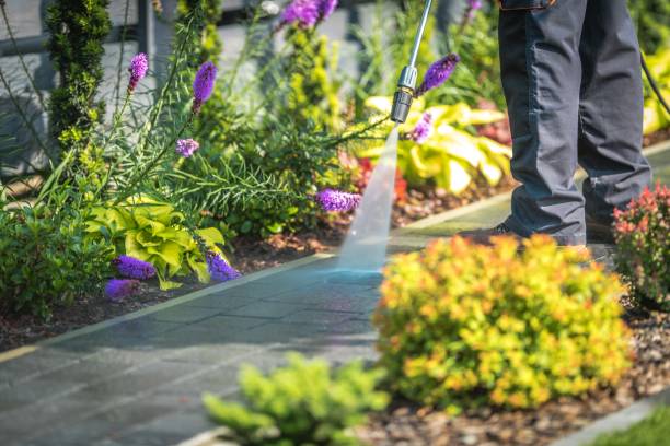 Best Winterizing Services  in Sioux Falls, SD